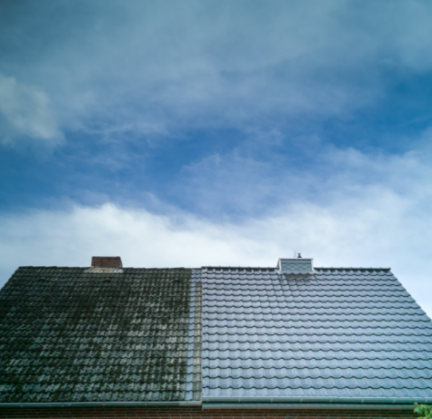 Tips For Cleaning Your Roof
