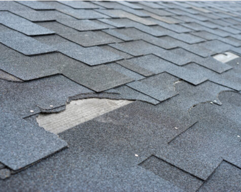 3 Common Growths That Can Harm Your Roof